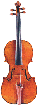 Viola